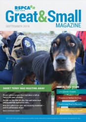 RSPCA WA Great & Small magazine cover September 2019