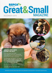 RSPCA WA Great & Small Magazine cover December 2019
