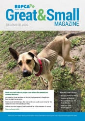 RSPCA WA Great & Small Magazine cover December 2020